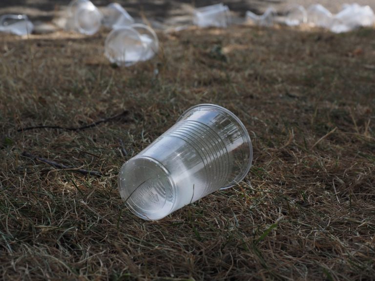 Antrag der Fraktion zur Vermeidung von Einwegplastikmüll