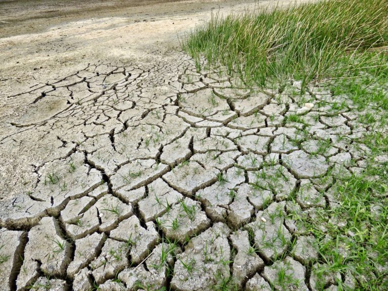 Die Gefahren des Klimawandels auch in der Corona-Krise nicht aus dem Blick verlieren