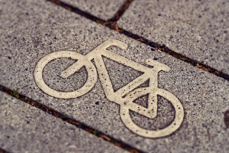 Anregung zu Schutzstreifen für den Radverkehr auf der Straße Neuwerk