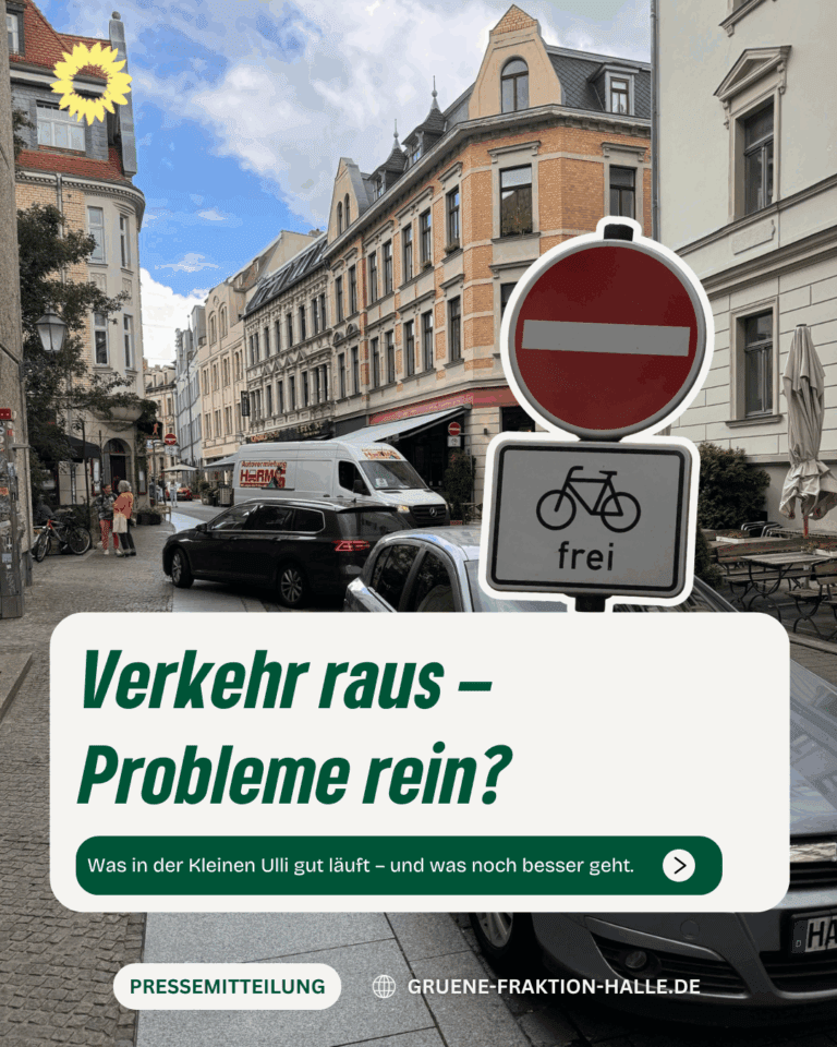 Fraktion BÜNDNIS 90/DIE GRÜNEN begrüßt Teilsperrung der Kleinen Ulrichstraße – sieht aber Potenzial zur Optimierung