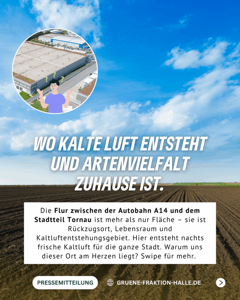 Fraktion BÜNDNIS 90/DIE GRÜNEN wirbt für den Erhalt von Grünräumen und Biodiversität in Tornau