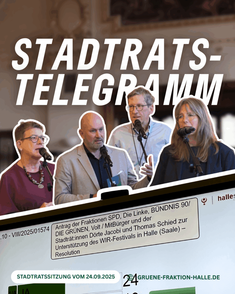 Kaltluft, Kosten, Kontroversen – Das war der September-Stadtrat