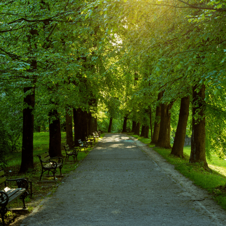 Anfrage des Stadtrates Wolfgang Aldag (Fraktion BÜNDNIS 90/DIEGRÜNEN) zu Waldflächen im Stadtgebiet