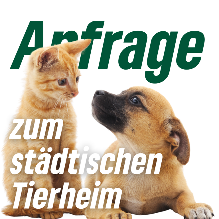 Anfrage der Fraktion BÜNDNIS 90/DIE GRÜNEN zum städtischen Tierheim