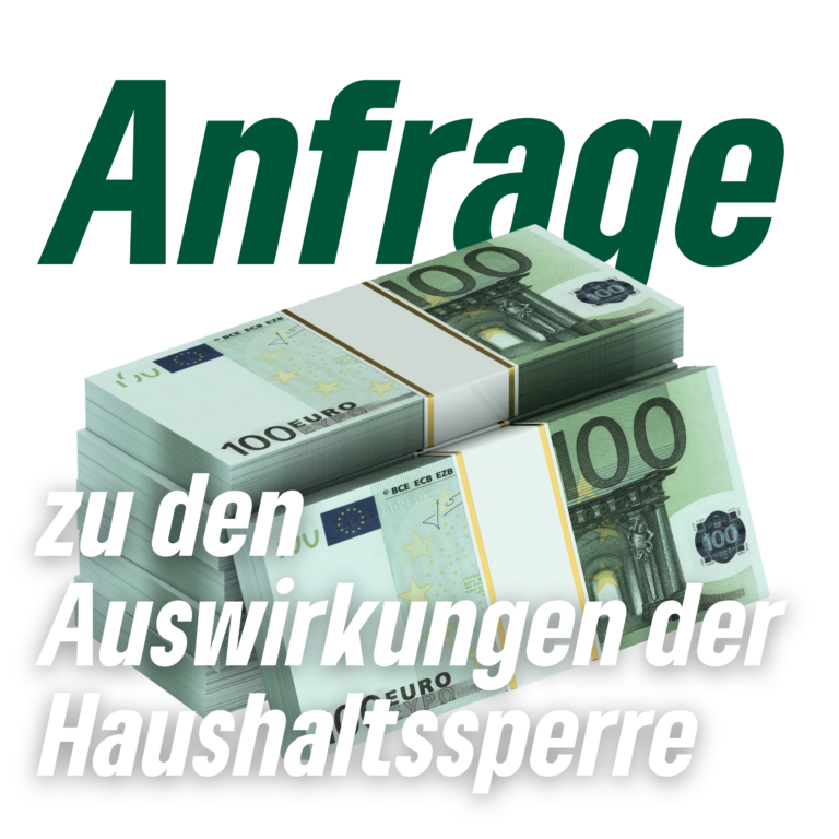 Anfrage der Fraktion BÜNDNIS 90/DIE GRÜNEN zu den Auswirkungen der Haushaltssperre